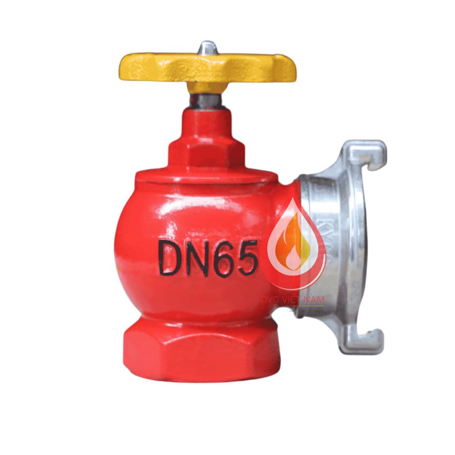 Angle Valve DN65